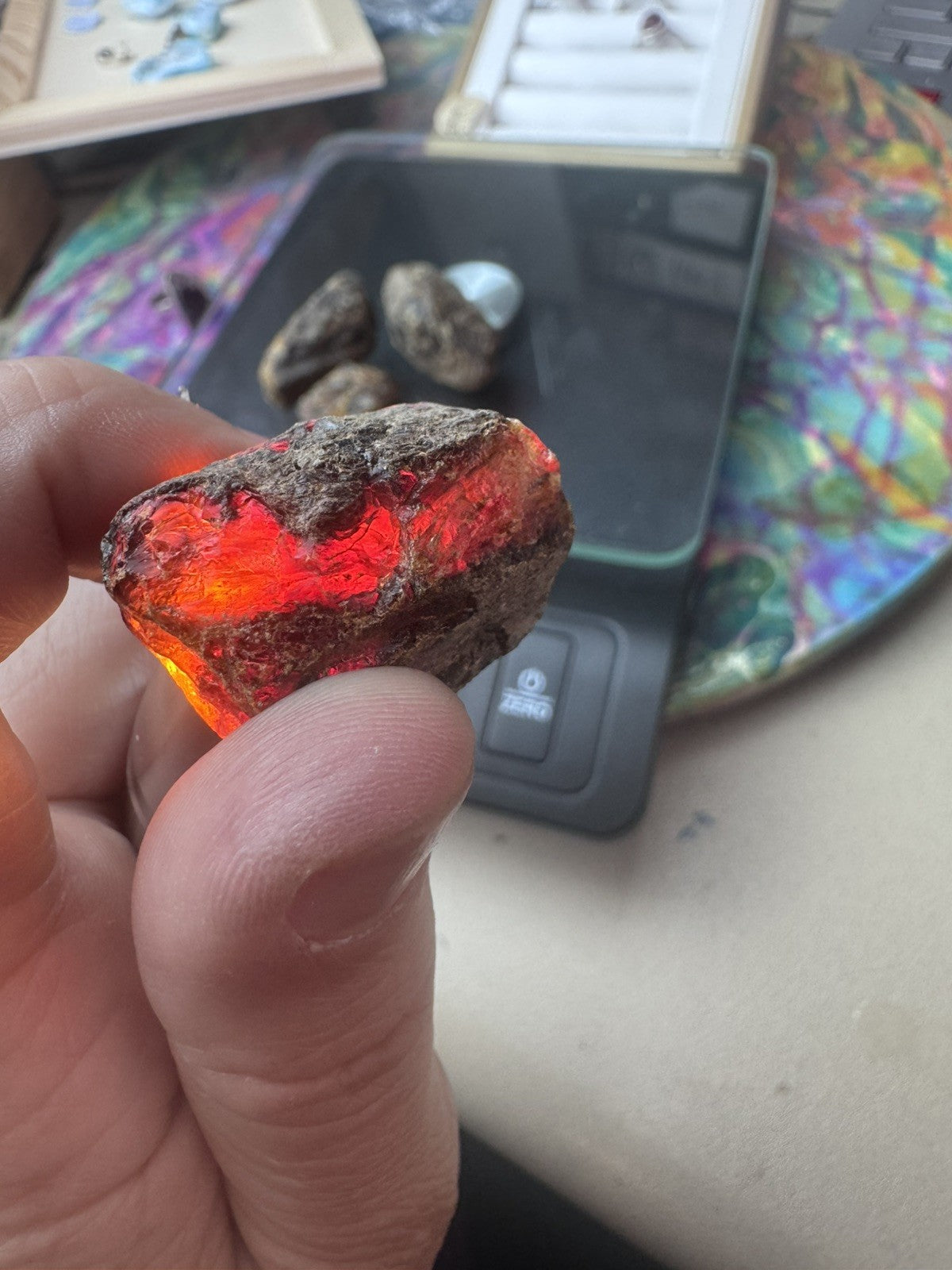 Black Amber 29 Grams 4 peices Rough lot