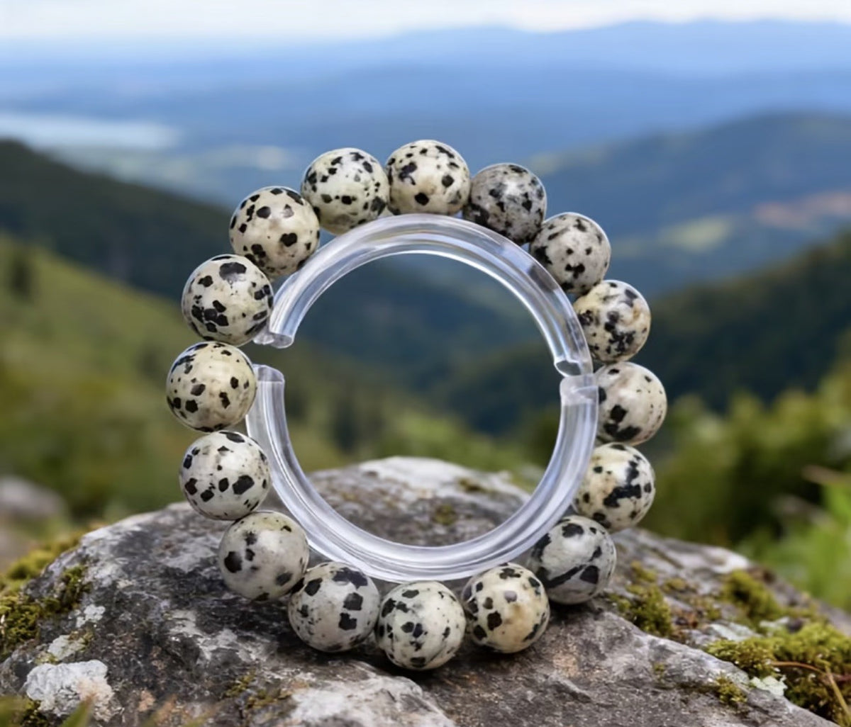8mm Dalmatian Jasper Bracelet stretch