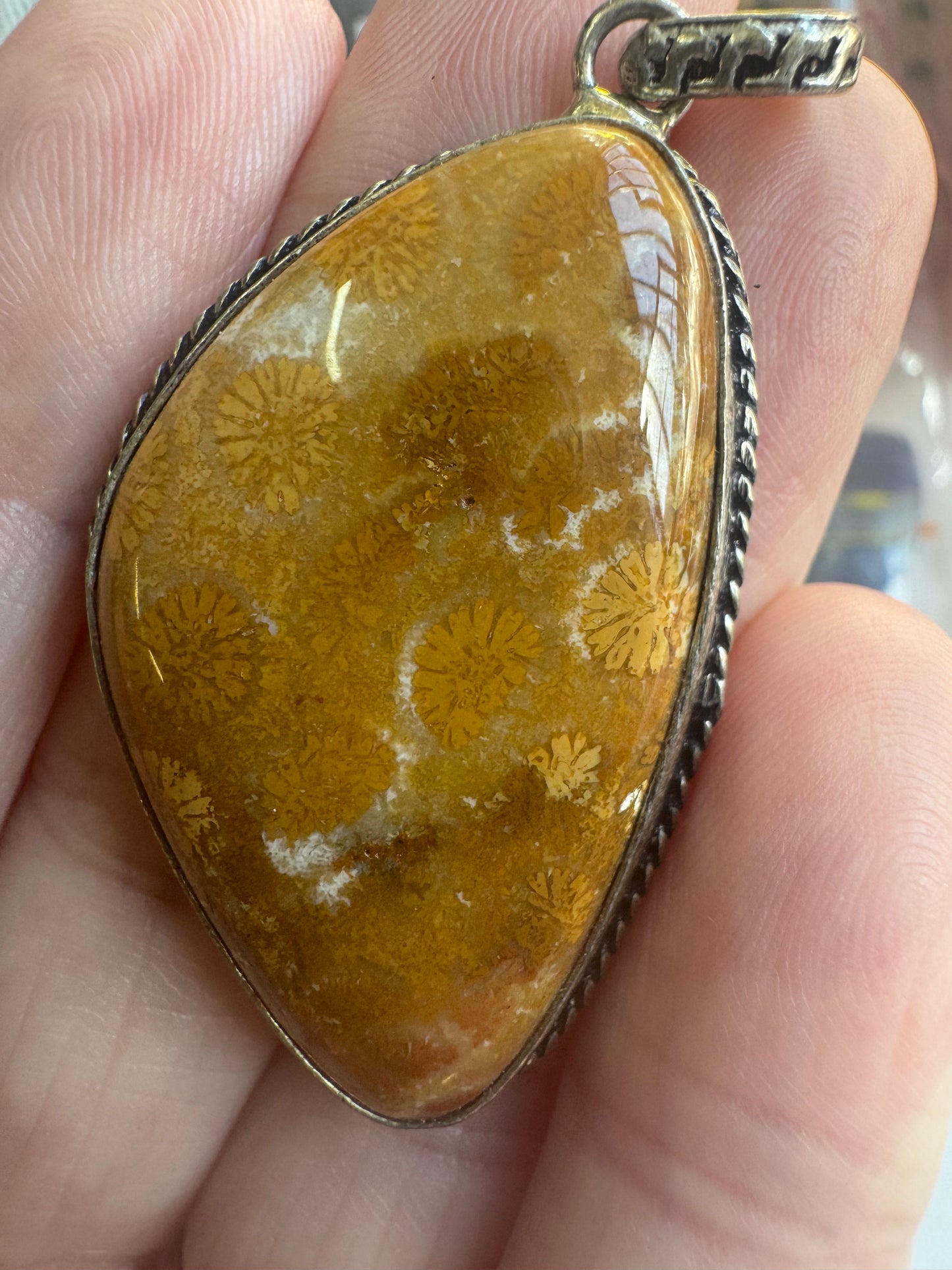 Fossil Coral Pendant $5