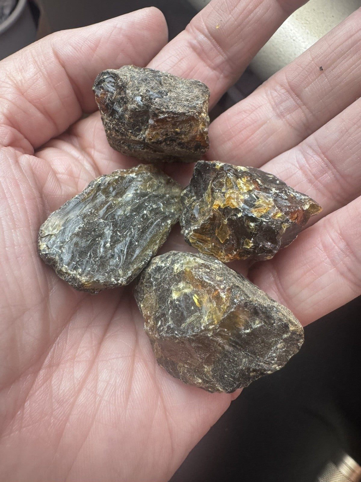 Black Amber  29 Grams  4 peices Rough lot