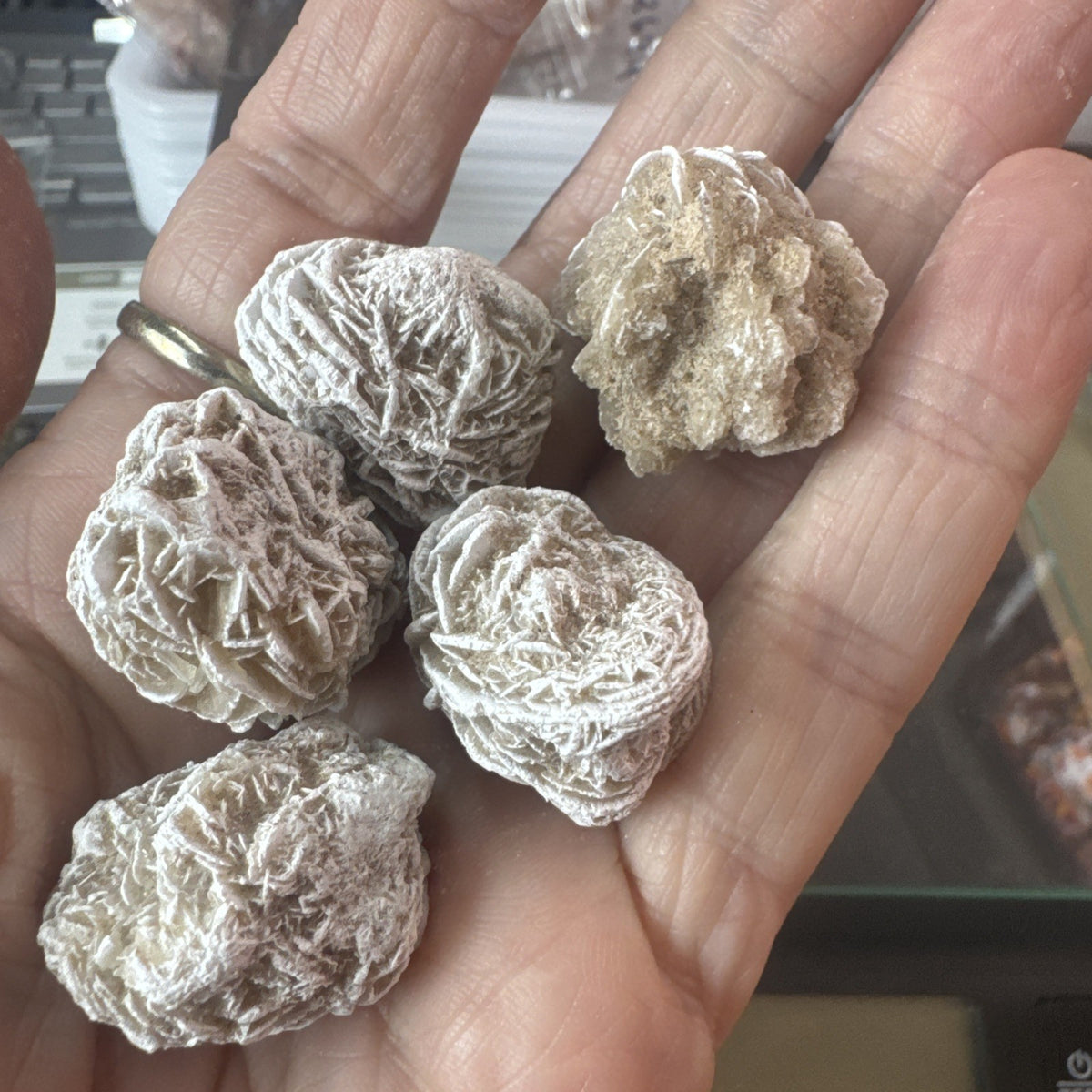 Clearance Beautiful Dessert Rose Gypsum Crystal Raw Natural Collectors 100 gms