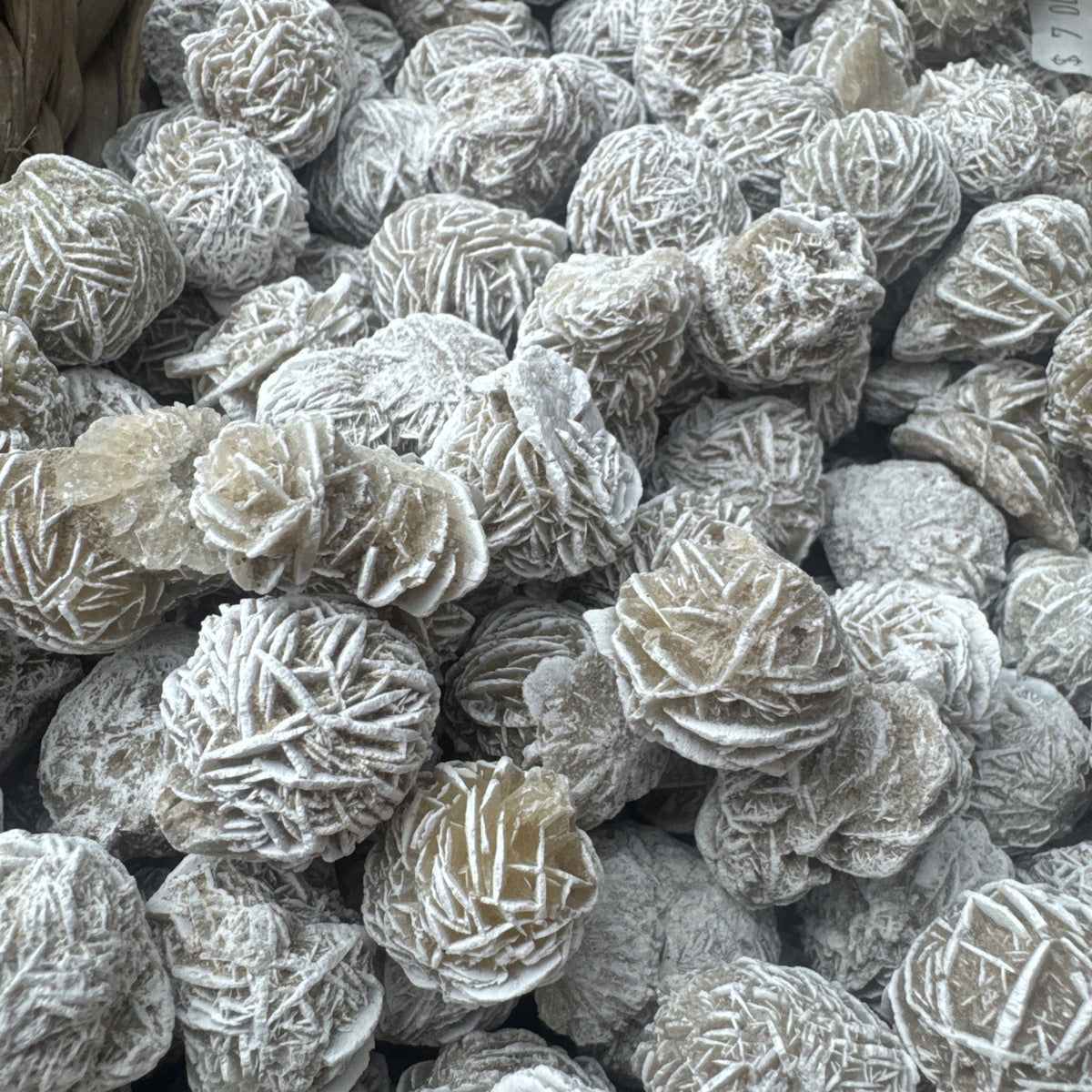 Clearance Beautiful Dessert Rose Gypsum Crystal Raw Natural Collectors 100 gms