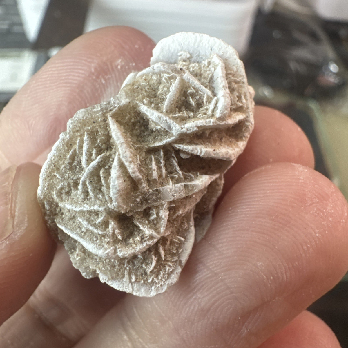 Clearance Beautiful Dessert Rose Gypsum Crystal Raw Natural Collectors 100 gms