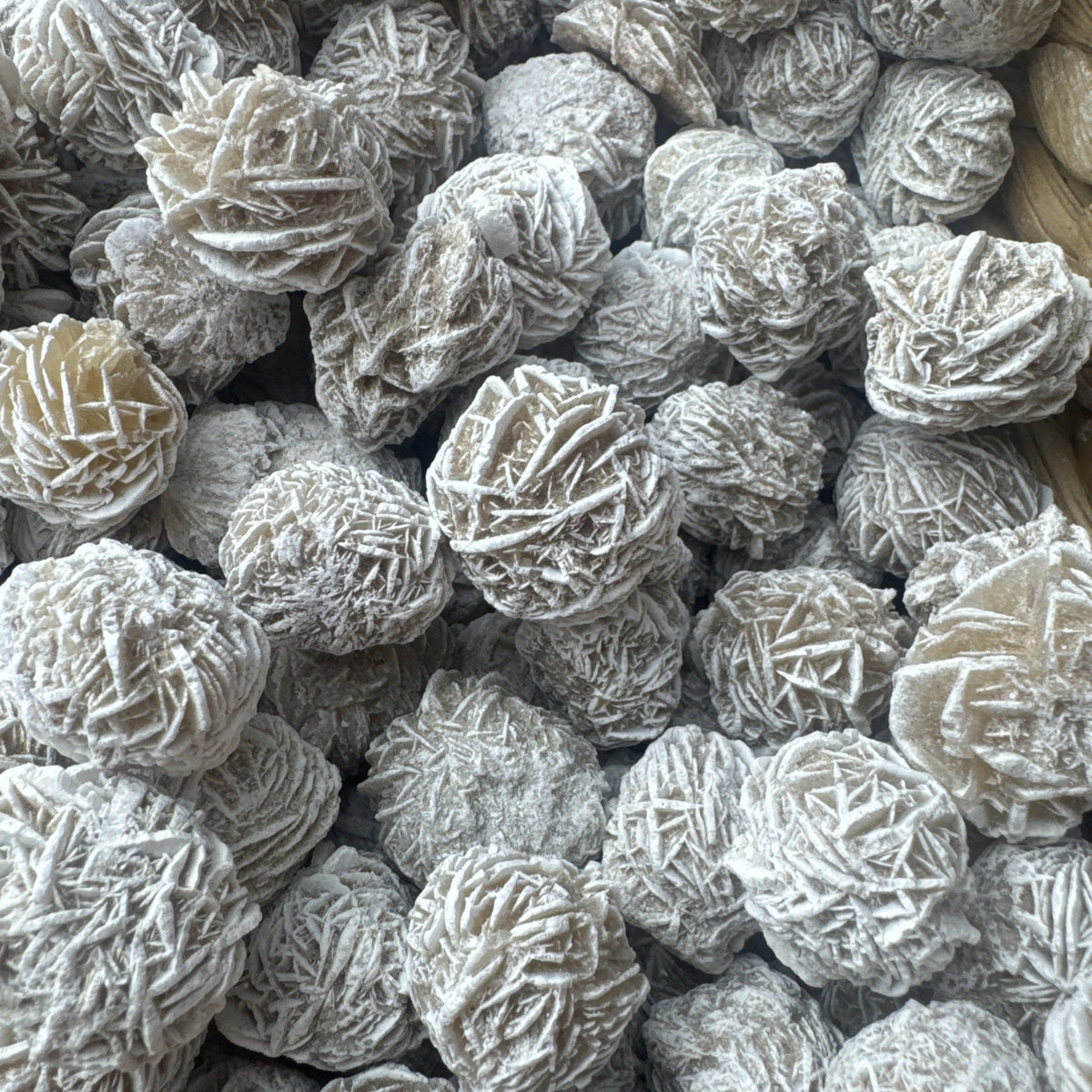 Clearance Beautiful Dessert Rose Gypsum Crystal Raw Natural Collectors 100 gms