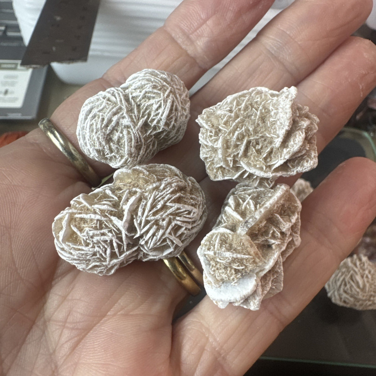 Clearance Beautiful Dessert Rose Gypsum Crystal Raw Natural Collectors 100 gms