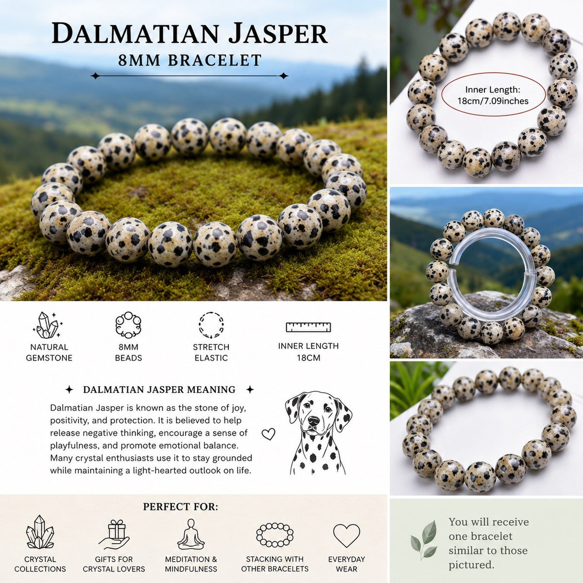 8mm Dalmatian Jasper Bracelet stretch