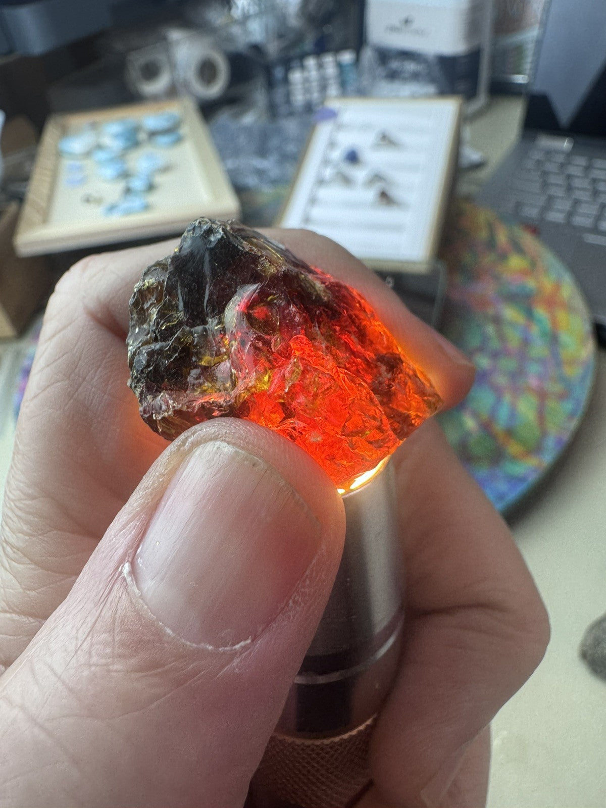Black Amber  29 Grams  4 peices Rough lot