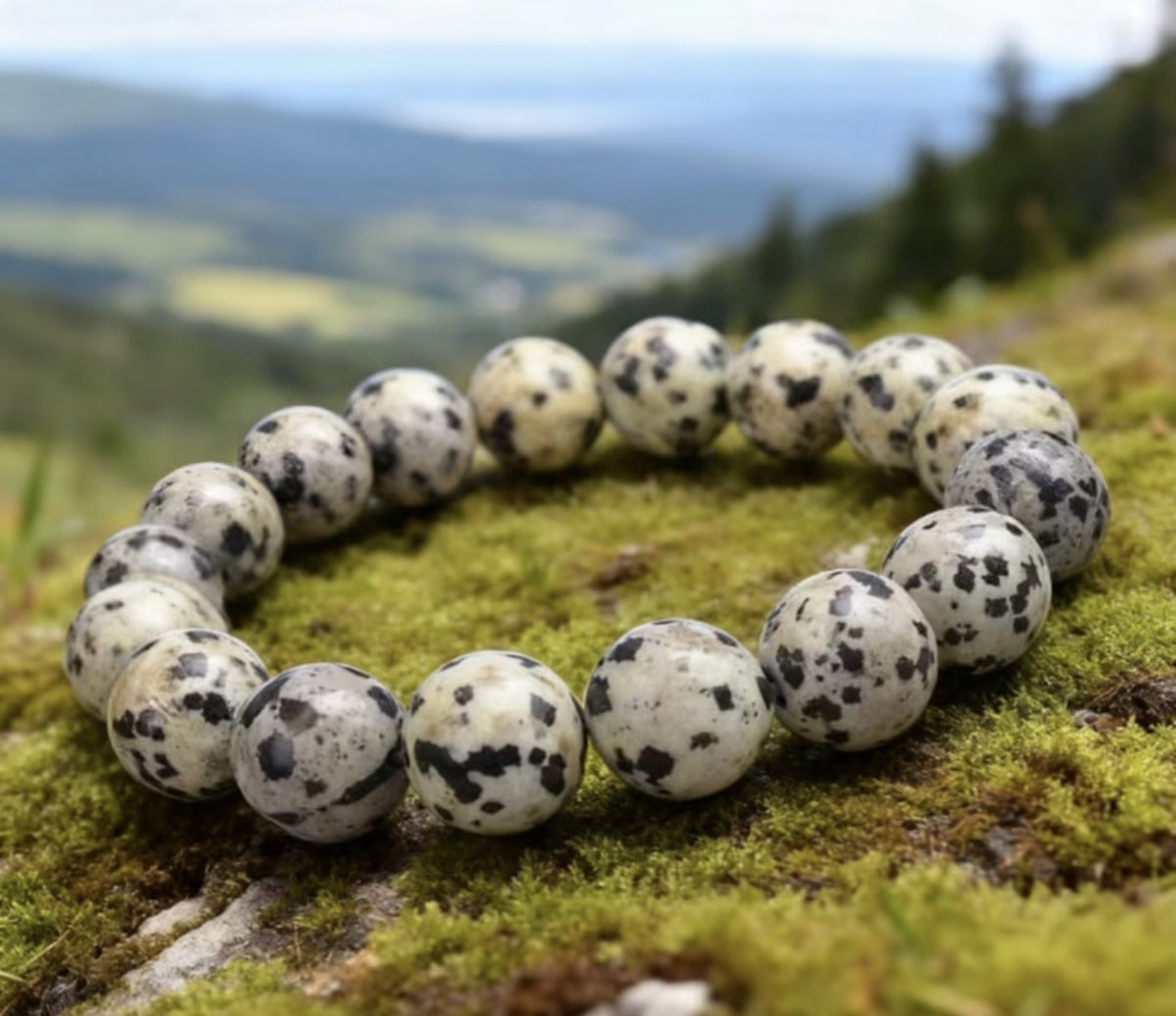 8mm Dalmatian Jasper Bracelet stretch