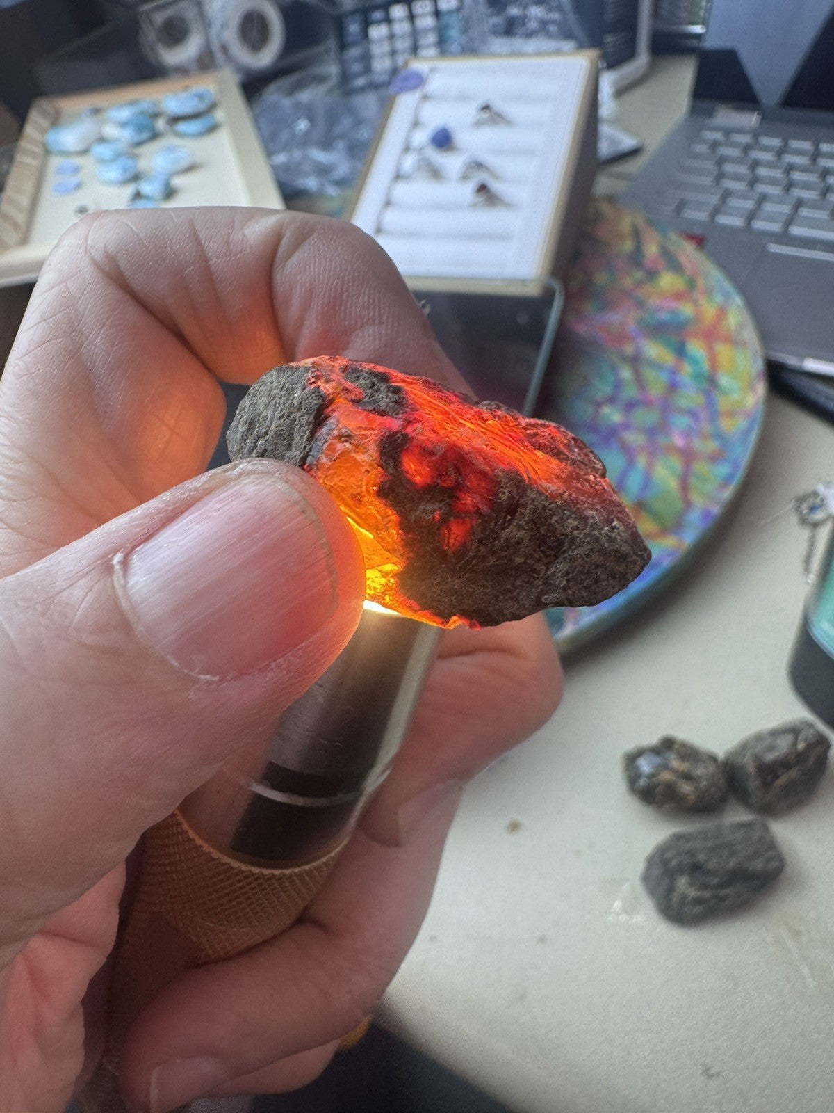 Black Amber  29 Grams  4 peices Rough lot