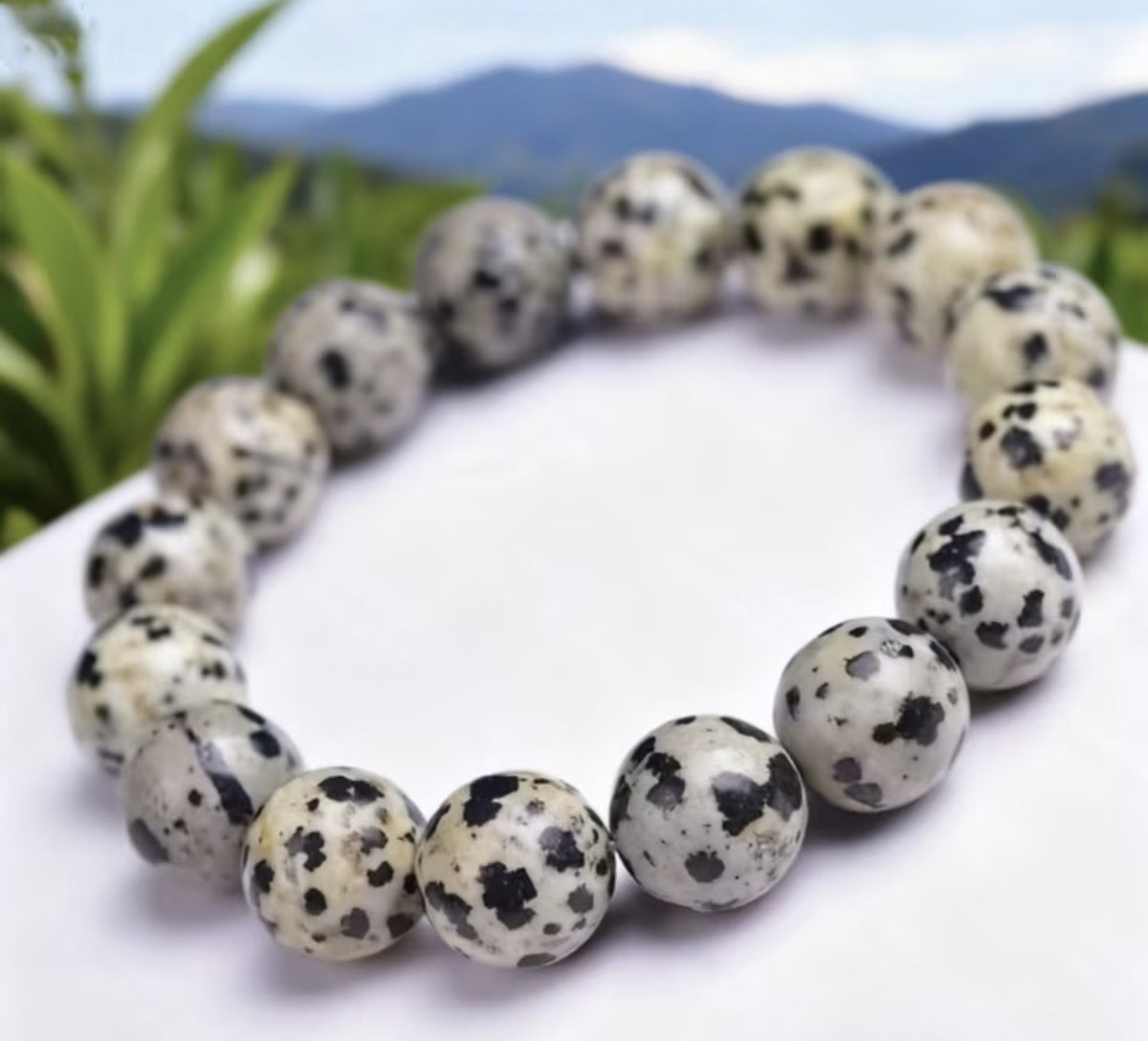8mm Dalmatian Jasper Bracelet stretch