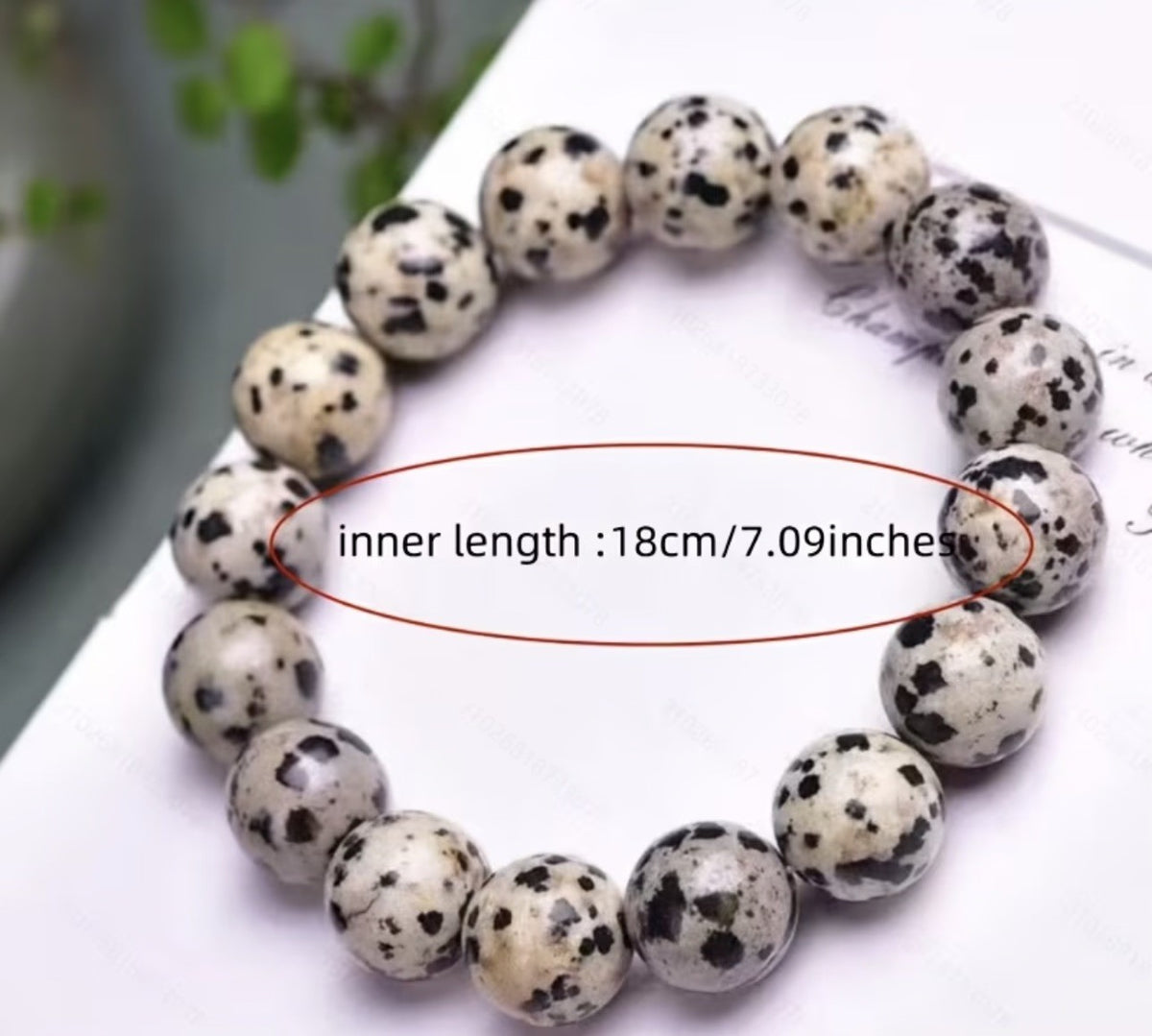 8mm Dalmatian Jasper Bracelet stretch