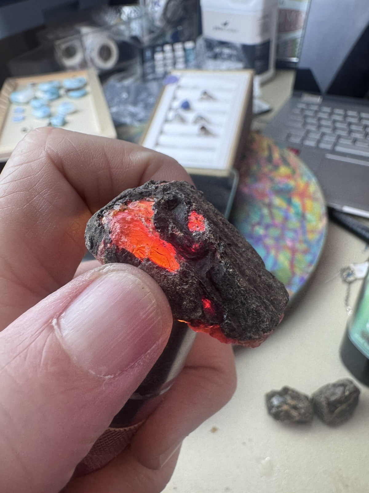 Black Amber  29 Grams  4 peices Rough lot