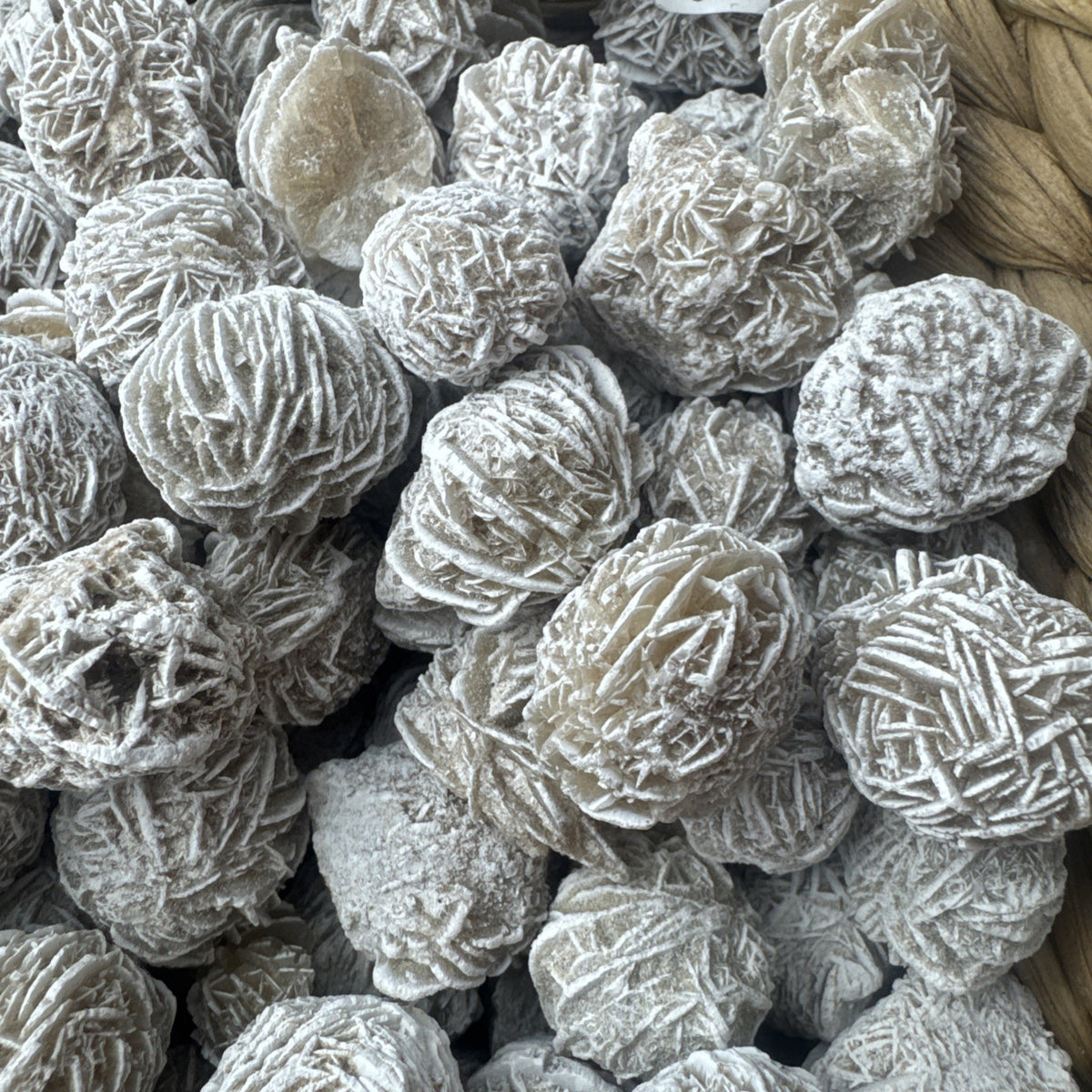 Clearance Beautiful Dessert Rose Gypsum Crystal Raw Natural Collectors 100 gms